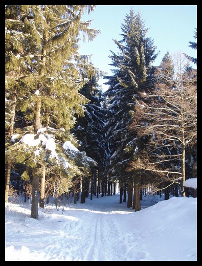 krajina 4